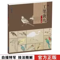 [正版图书]工笔技法精解-工笔禽鸟一点通/张贤明绘工笔画花鸟国画白描绘画技法解析步骤完全入门书籍教程 美术绘画基础收藏鉴