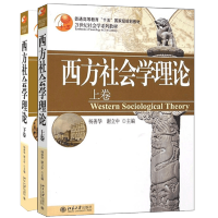 [正版图书]西方社会学理论 杨善华 谢立中 上卷下卷全2册 北京大学出版社 社会学系列教材 理性行动理论 社会学方法论