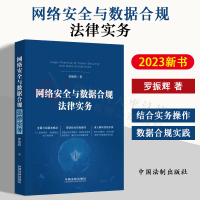 [正版图书]2023新书 网络安全与数据合规法律实务 罗振辉 个人信息保护 数据固化 电子商务等 实务操作 合规实践 法