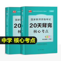 [正版图书]2023年中学教师证资格考试用书核心考点重点笔记教资23下半年初中高中数学语文英语资料真题库试卷中职教材书知