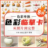 [正版图书]2022色彩临摹卡色彩静物单体 零基础入门文创文艺术水粉手绘美术艺考高考高清精美教材教程创意8开原画手稿袋装