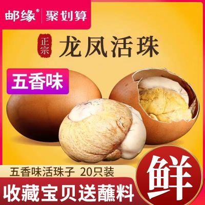 [正版图书]邮缘活珠子新鲜13天鸡胚蛋五香即食毛蛋凤凰熟钢化蛋20只非毛鸡蛋