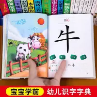 [正版图书]宝宝学前识字字典幼儿认字启蒙教材2-3一6-8岁儿童看图识字卡片幼儿园大班中班学前班象形识字大王绘本幼小衔接
