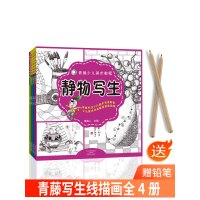 [正版图书]赠铅笔 青藤少儿美术教程全4册装饰线描+静物写生+近景写生+远景写生儿童艺术线描线性速写人物风景教程少儿线描