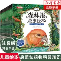 [正版图书]森林报故事绘本全套12册 春夏秋冬 幼儿童绘本图画故事书彩图注音版6-7-8-9-12岁一二三年级课外阅读书