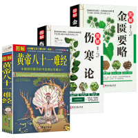 [正版图书]图解黄帝八十一难经+图解伤寒论+图解金匮要略(全3册)中医四大经典名著中医基础理论养生健康偏方秘方书籍