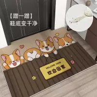 [正版图书]进门地垫入户门垫家用门口可擦免洗pvc防滑加厚耐脏脚垫门外地毯