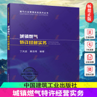 [正版图书]城镇燃气特许经营实务 燃气行业管理实务系列丛书 燃气特许经营权的概述 燃气经营企业转变经营理念 丁天进 黄志