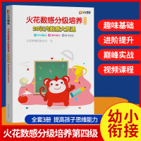 [正版图书]火花数感分级培养第四级20以内数感大贯通6-12岁儿童数学启蒙 幼小衔接整合教材 一年级入学准备幼儿园数学加