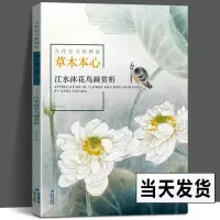 [正版图书]江水沐花鸟画赏析 当代实力派画家草木本心 绘画初学者入门基础教程国画工笔写意花鸟画技法书籍名家经典作品集国画