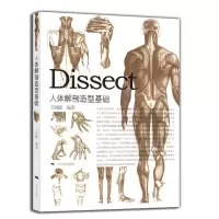 [正版图书]人体解剖造型基础 动漫人体结构手绘技法速写教程解剖构书理解人体形态美术学院动态解剖学速写结构解剖艺用人体解剖