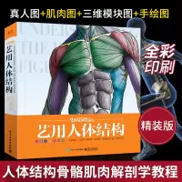 [正版图书]艺用人体结构解剖 精装版全彩 理解人体形态人体结构骨骼肌肉造型解剖学基础教程 动漫表情教程 伯里曼人体结构教