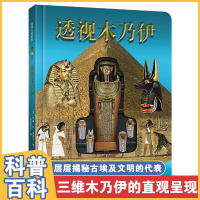 [正版图书]透视木乃伊 科普类书籍百科全书儿童版趣味儿童百科全书木乃伊书籍幼儿百科读物3一6儿童历史百科绘本幼儿园图书6