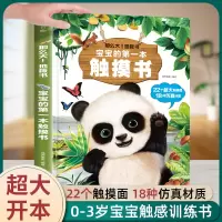 [正版图书]宝宝的第一本触摸书 婴儿书早教益智玩具0到2-3岁绘本1岁半立体书地板书本撕不烂立体儿童书籍幼儿触觉启蒙认知