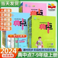 [正版图书]2024典中点七年级八年级九年级上册下册初中语文数学英语物理化学人教北师大华师版外研沪科初中生初一三二上资料