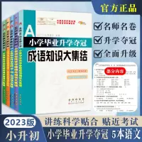 [正版图书]小学毕业升学夺冠语文知识大集结成语知识古诗文知识名著知识文学常识考点字词句训练综合知识大集结小升初毕业考题分
