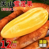 [正版图书]雪莲果新鲜水果12斤应当季现挖红心特级云南雪天山连果整箱5