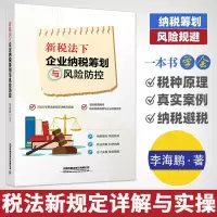 [正版图书]新税法下企业纳税筹划与风险防控方法图表案例老板财税规划100招税务书籍降低税负会计准则金税四期避税财务财税管