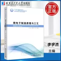 [正版图书]YS 哈工大 微电子制造原理与工艺 张威 李宇杰 刘威 电子科学与技术 微电子技术 哈尔滨工业大学出版