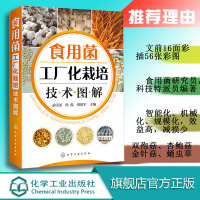 [正版图书]食用菌工厂化栽培技术图解 双孢菇金针菇蛹虫草工厂化生产菌种制作栽培病虫害防治保鲜加工技术书籍 机械自动化设备