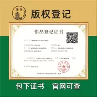 [正版图书]版权登记美术作品著作音乐视频logo图片文字湖北知识产权保护申请