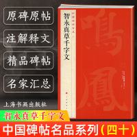 [正版图书]智永真草千字文 中国碑帖名品40 释文注释 繁体旁注 草书毛笔书法字帖碑帖 楷书草书毛笔字帖书法临摹临帖练习