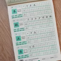 [正版图书]儿童字帖田字格写字法常用300字练习本笔顺笔画汉字描红本幼升小学一二年级规范汉字书写字本5-6-7-9岁小学