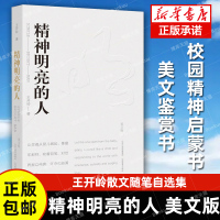 [正版图书]精神明亮的人美文版王开岭散文随笔自选集 文学中国现当代随笔中国校园的精神启蒙书和美文鉴赏书 古典之殇现当代文