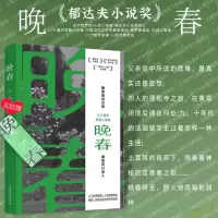 [正版图书]晚春 余华赞赏的小说家郁达夫小说奖得主三三著作短篇小说集上海文艺出版社中国当代文学另著离魂记/俄罗斯套娃/山