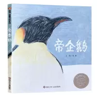 [正版图书]帝企鹅 精装硬壳绘本信谊图画书奖系列南极科普儿童绘本自然亲子读物生命故事书3-6-8岁早教少儿生命传承暖心育