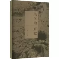 诺森美学的直觉夏汉著9787550176843南方出版社