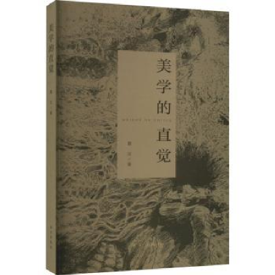 诺森美学的直觉夏汉著9787550176843南方出版社