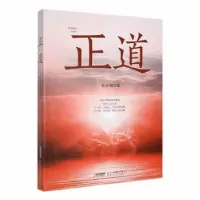 诺森正道史迪钢著9787539669137安徽文艺出版社