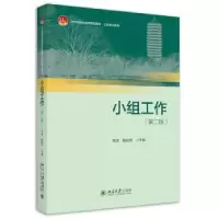 诺森小组工作芮洋,杨启秀9787301331743北京大学出版社