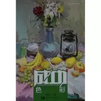 诺森色彩唐宏伟主编9787562165064西南师范大学出版社