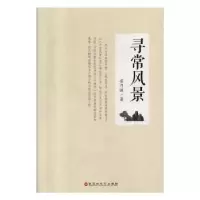 诺森寻常风景劳乃强著9787550033061百花洲文艺出版社