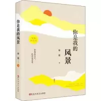 诺森你是我的风景廖毅著9787550047167百花洲文艺出版社