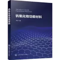 诺森钒氧化物功能材料齐济9787122410610化学工业出版社