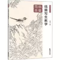 诺森线描写生教学临摹范本刘明孝9787569713749西南大学出版社