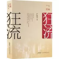 诺森狂流严英秀9787539673554安徽文艺出版社