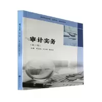 诺森审计实务周经纬,方文俊,陈伟玲9787305255564南京大学出版社
