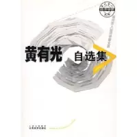 诺森黄有光自选集[澳]黄有光9787806368480山西经济出版社