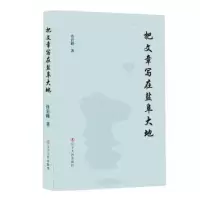 诺森把文章写在盐阜大地许岩峰著9787205104689辽宁人民出版社