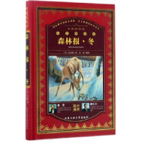 诺森森林报·冬比安基9787563954476北京工业大学