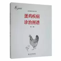 诺森蛋鸡疾病诊治图谱董云主编97875712076山东科学技术出版社