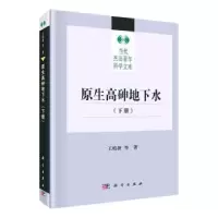 诺森原生高砷地下水(下册)王焰新9787030628664科学出版社