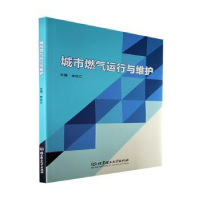 诺森城市燃气运行与维护李自立9787576303261北京理工大学出版社