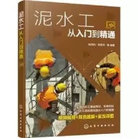 诺森泥水工从入门到精通阳鸿钧9787122403551化学工业出版社