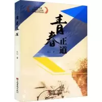 诺森青春正道文心著9787511386939中国华侨出版社