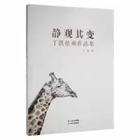 诺森静观其变:丁凯绘画作品集丁凯9787548933830云南美术出版社